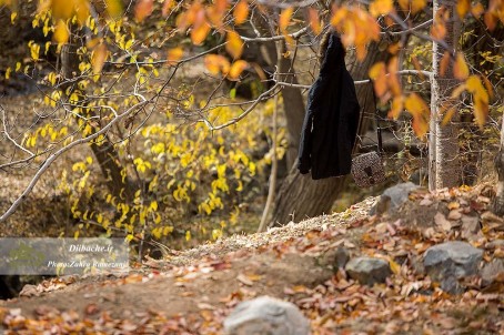 گزارش تصویری پاییزدل انگیز تهران در پارک جمشیدیه